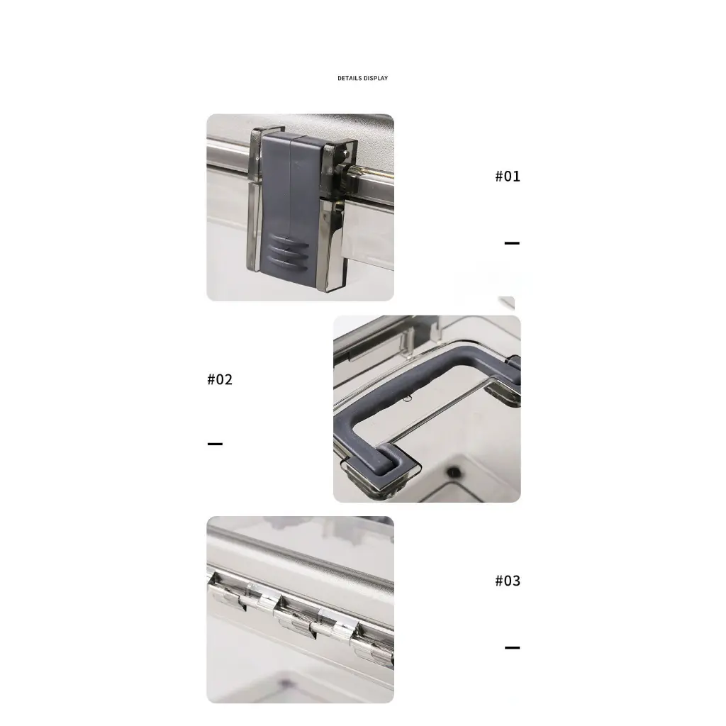 5.webp